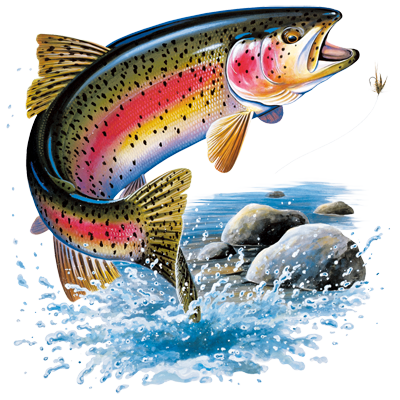 Rainbow Trout T-Shirt